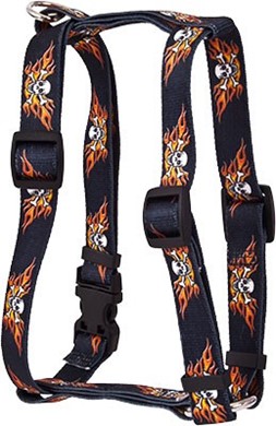 Raining Cats and Dogs | Flaming Skulls Harness