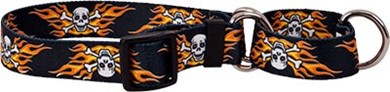 Raining Cats and Dogs | Flaming Skulls Martingale Collar