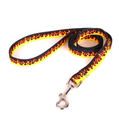 Raining Cats and Dogs | Red Flames Collar