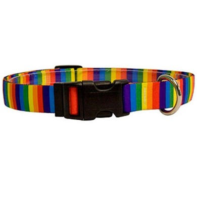 Raining Cats and Dogs | Rainbow Stripes Collar