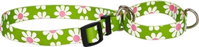 Raining Cats and Dogs | Green Daisy Martingale Collar