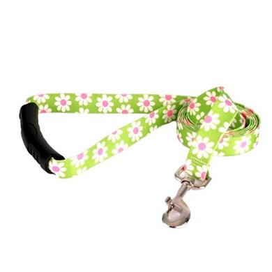 Raining Cats and Dogs | Green Daisy Easy Grip Lead