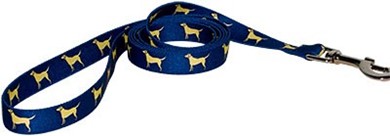 Raining Cats and Dogs | Yellow Labs Leash