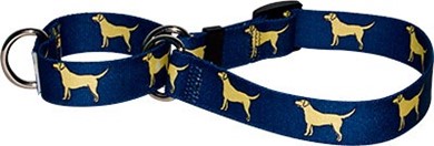 Raining Cats and Dogs | Yellow Labs Martingale Collar