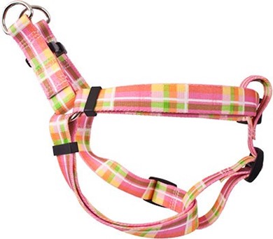 Raining Cats and Dogs | Madras Step-In Harness