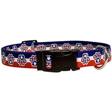 Raining Cats and Dogs | Patriotic Paws Collar