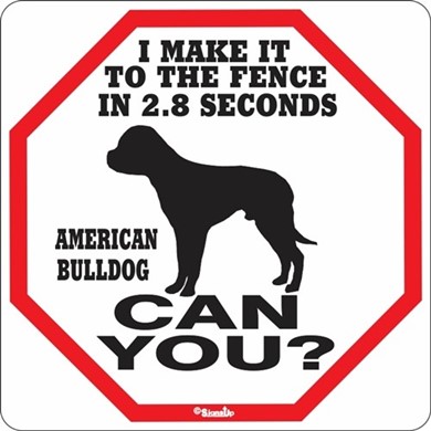 Raining Cats and Dogs | American Bulldog Make It to the Fence in 2.8 Seconds Sign