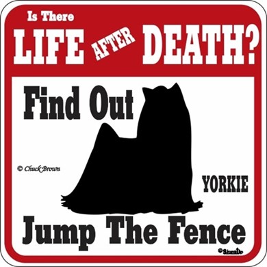 Raining Cats and Dogs | Yorkshire Terrier Jump the Fence Sign