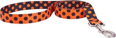 Raining Cats and Cats and Dogs | Halloween Polka Dot Leash