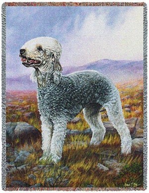 Raining Cats and Dogs | Bedlington Terrier Throw Blanket, Made in the USA