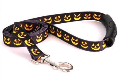Raining Cats and Dogs | Jack O'Lantern EZ Grip Leash, Made in the USA