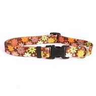 Raining Cats and Dogs | Autumn Flowers Collar