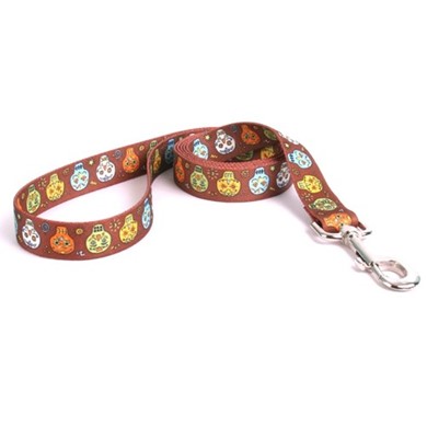 Raining Cats and Dogs | Candy Skulls Leash