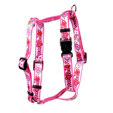 Raining Cats and Dogs | Valentine Harness, Made in the USA