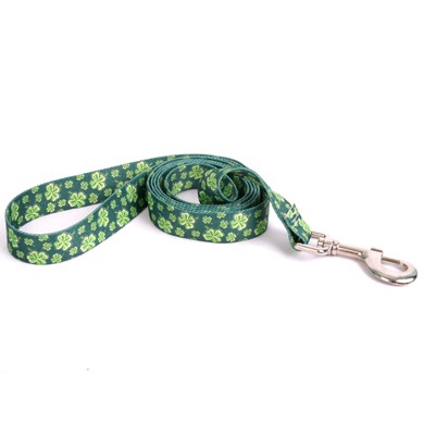 Raining Cats and Dogs | Four Leaf ClovLeash, the Perfect St. Patrick's Day Leash