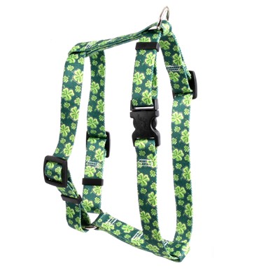 Raining Cats and Dogs l  Clover Harness, the Perfect St. Patrick's Day Harness