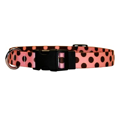 Raining Cats and Dogs | Pink and Brown Polka Collar, Made in the USA