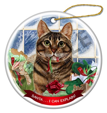 Raining Cats and Dogs |Brown Tabby  Santa I Can Explain Cat Christmas  Ornament