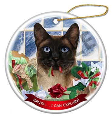 Raining Cats and Dogs | Siamese Seal Point Cat Christmas Santa I Can Explain Ornament