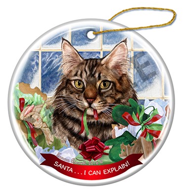 Raining Cats and Dogs | Maine Coon Brown Tabby Santa I Can Explain  Christmas  Ornament