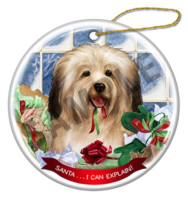 Raining Cats and Dogs | Santa  I Can Explain Havanese Dog Christmas Ornament