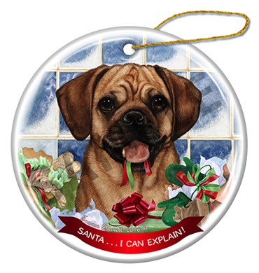 Raining Cats and Dogs | Santa I Can Explain Puggle Dog Christmas Ornament