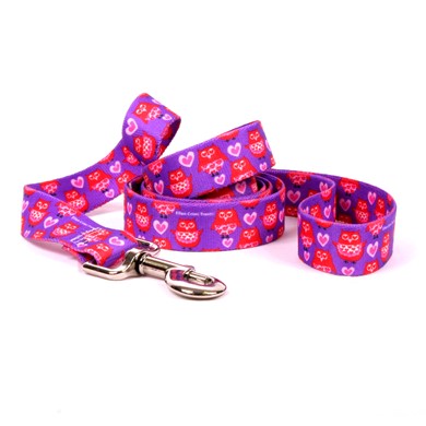 Raining Cats and Dogs | Valentine Owl Leash