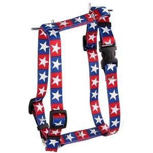 Raining Cats and Dogs | Colonial Stars Harness