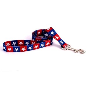 Raining Cats and Dogs | Colonial Stars Leash