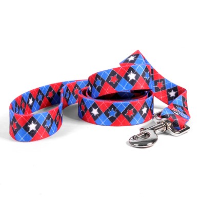 Raining Cats and Dogs | American Argyle Leash