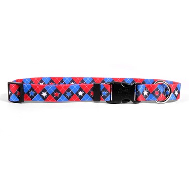 Raining Cats and Dogs |American Argyle Collar