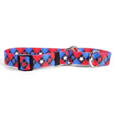 Raining Cats and Dogs | American Argyle Martingale Collar
