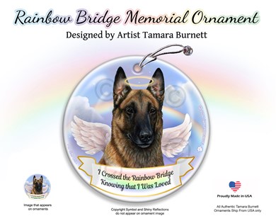 Raining Cats and Dogs | Belgian Malinois Rainbow Bridge Memorial Ornament