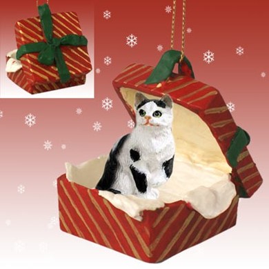 Grey Persian Cat Keepsake/Jewellery Box Christmas Gift AC-12JB 