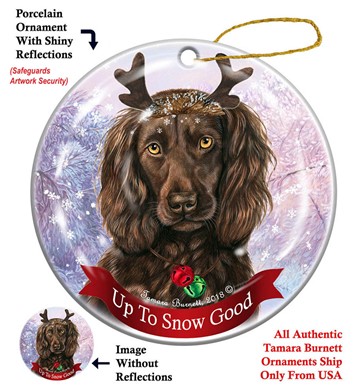 Boykin spaniel ornament best sale