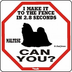 Maltese Make It to the Fence in 2.8 Seconds Sign