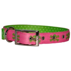 Uptown Pink and Green Skulls Buckle Collar