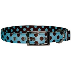 Uptown Blue and Brown Polka Dot Buckle Collar