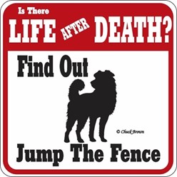 Dog Jump the Fence Sign