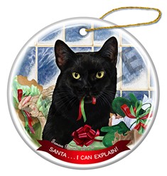 Black Cat Santa I Can Explain  Christmas Ornament