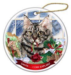 Maine Coon Silver Tabby Santa I Can Explain Cat Christmas Ornament