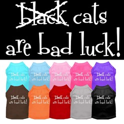Black Cats are Bad Luck Pet Tee