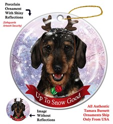 Dachshund Up To Snow Good- click for more breed options