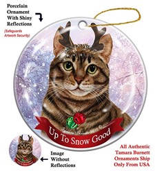 Brown Tabby Cat Up to Snow Good Christmas Ornament