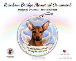 Chiweenie Rainbow Bridge Memorial Ornament - click for more breed colors
