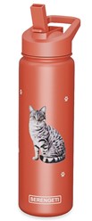 Silver Tabby Cat Serengeti Insulated Water Bottle